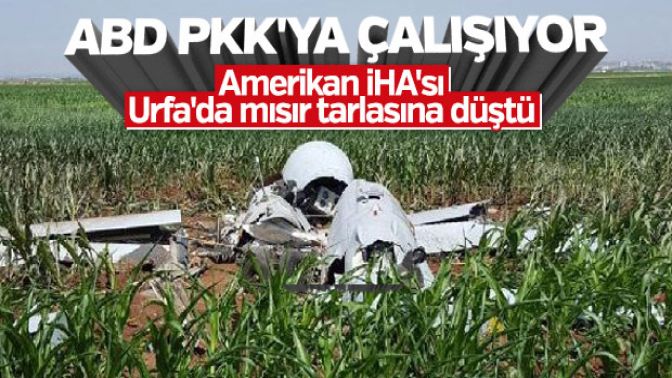 Şanlıurfada mısır tarlasına insansız hava aracı düştü