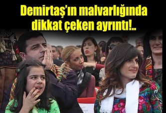 Selahattin Demirtaş'ın malvarlığı açıklandı