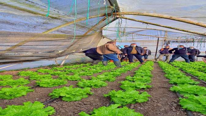 Sera desteği için başvurular başladı