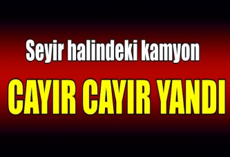 Seyir halindeki kamyon yandı