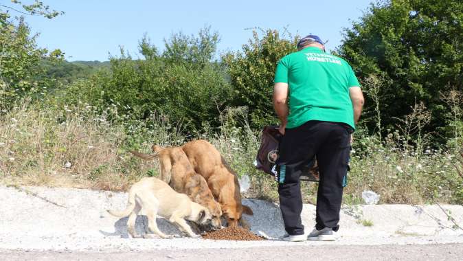 Sokak hayvanlarına 100 ton mama