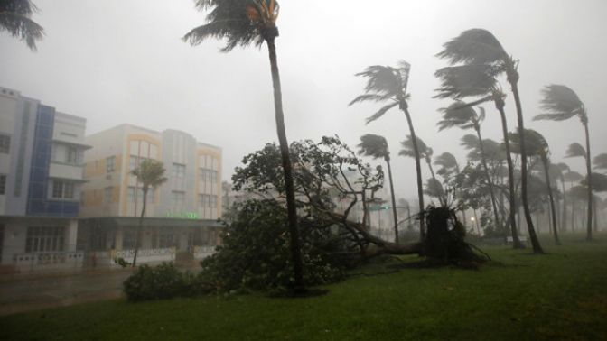 Son Dakika! Irma Kasırgası Floridaya Ulaştı, İlk Can Kaybı Geldi