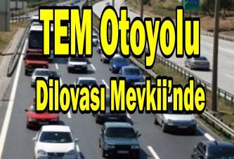 TEM otoyolu Dilovası Mevkii’nde