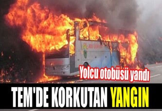 TEM Otoyolu'nda otobüs yangını!