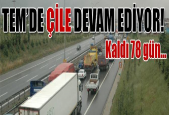 TEM'de hayat durdu