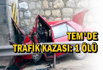 Tem'de Trafik Kazası: 1 Ölü