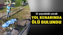 15 yaşındaki çocuk yol kenarında ölü bulundu