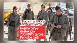 '700 özel eğitimli PKK'lı terörist Kerkük'e girdi'