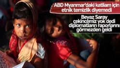 ABD Arakan'daki katliama etnik temizlik diyemiyor