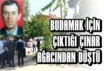 Ağaç budamak isterken canından oldu