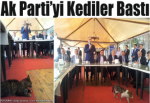 Ak Parti’yi kediler bastı