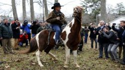 Alabama'da oy kullanmaya atı ile giden aday