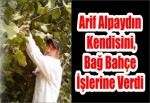 Arif Alpaydın kendisini, bağ bahçe işlerine verdi