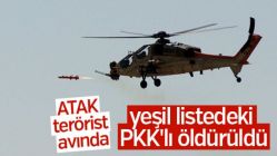 Bitlis’te 2 PKK'lı öldürüldü