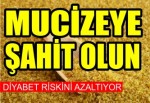 Bulgur diyabet riskini azaltıyor