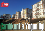 Çamlıkent’e yoğun ilgi