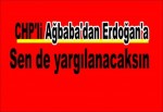 CHP'li Ağbaba'dan Erdoğan'a: Sen de yargılanacaksın