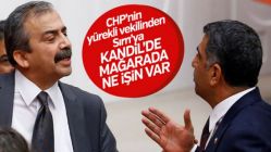 CHP'li Gürsel Erol'dan HDP'li Sırrı Süreyya Önder'e Kandil yanıtı