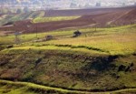 Cizre'de polise alçak saldırı: 1 yaralı