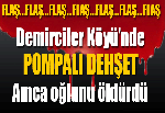 Demirciler Köyü'nde pompalı dehşet