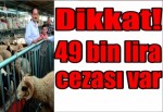 Dikkat! 49 bin lira cezası var