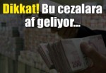 Dikkat! Bu cezalara af geliyor!