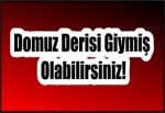 Domuz Derisi Giymiş Olabilirsiniz!