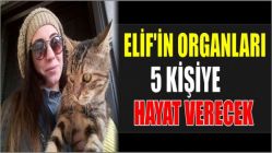 Elif'in Organları 5 Kişiye Hayat Verecek