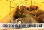 Gebze’de Kurban pazarı hizmete girdi