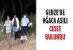 Gebze'de ağaca asılı ceset bulundu