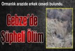 Gebze'de Şüpheli Ölüm