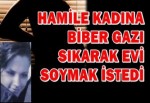 Hamile Kadına Biber Gazı Sıkarak Evi Soymak İstedi