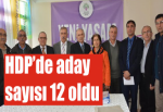 HDP’de aday sayısı 12 oldu