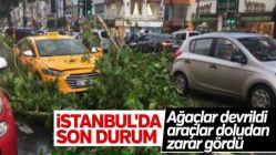 İstanbul'daki yağış ağaçları devirdi