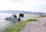 İzmit Körfezi’ne 7/24 çevre denetimi