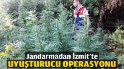 Jandarmadan İzmit'te uyuşturucu operasyonu