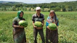 Kandıra Karpuzu desteği meyvelerini verdi