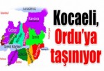 Kocaeli, Ordu’ya taşınıyor