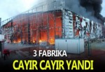 Kocaeli'de 3 Fabrika Cayır Cayır Yandı!