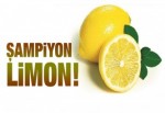 Kocaeli'nin zam şampiyonu limon