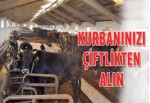 Kurbanınızı çiftlikten alın