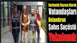 Kurbanlık Hayvan Alarak Vatandaşları Dolandıran Şahıs Suçüstü Yakalandı