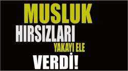 Musluk hırsızları yakayı ele verdi!