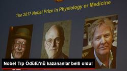 Nobel Tıp Ödülü'nü Kazananlar Belli Oldu