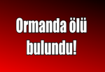 Ormanda Ölü Bulundu!