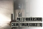 Palet Fabrikasında Çikan Yangın Korkuttu