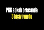 PKK Lice'de 3 kişiyi vurdu