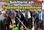 Şehitlerin adı fidanlarda yaşatılıyor