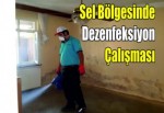 Sel Bölgesinde Dezenfeksiyon Çalışması