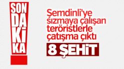 Şemdinli'de 8 şehit